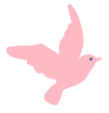 ピンクのはと