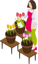 花屋のイラスト